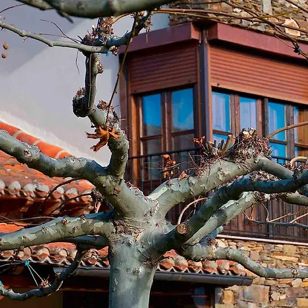 Valle Del Eria 4* Castrocontrigo