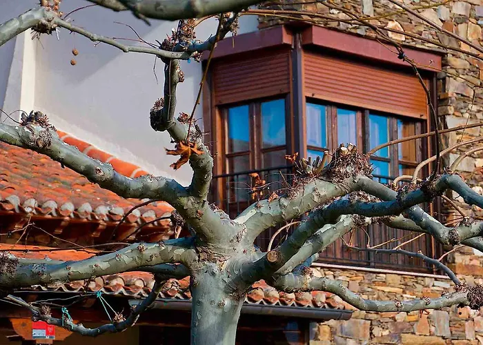 Valle Del Eria 4* Castrocontrigo